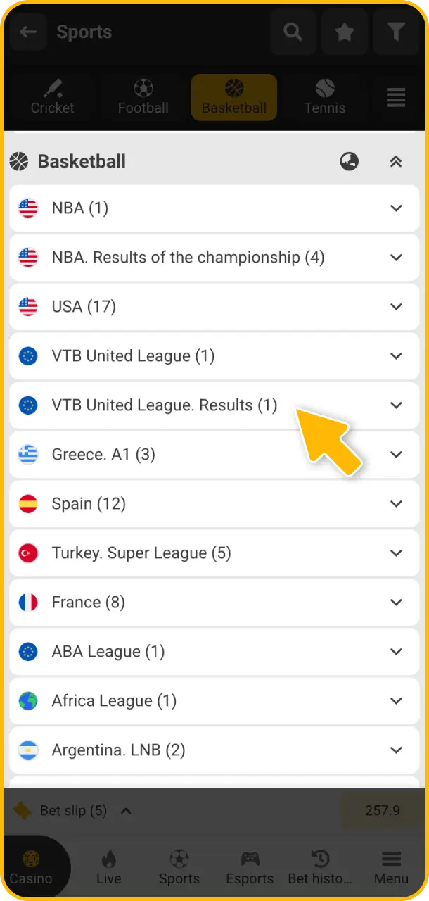 Pick league fixtures and regional championships to wager on at Melbet.