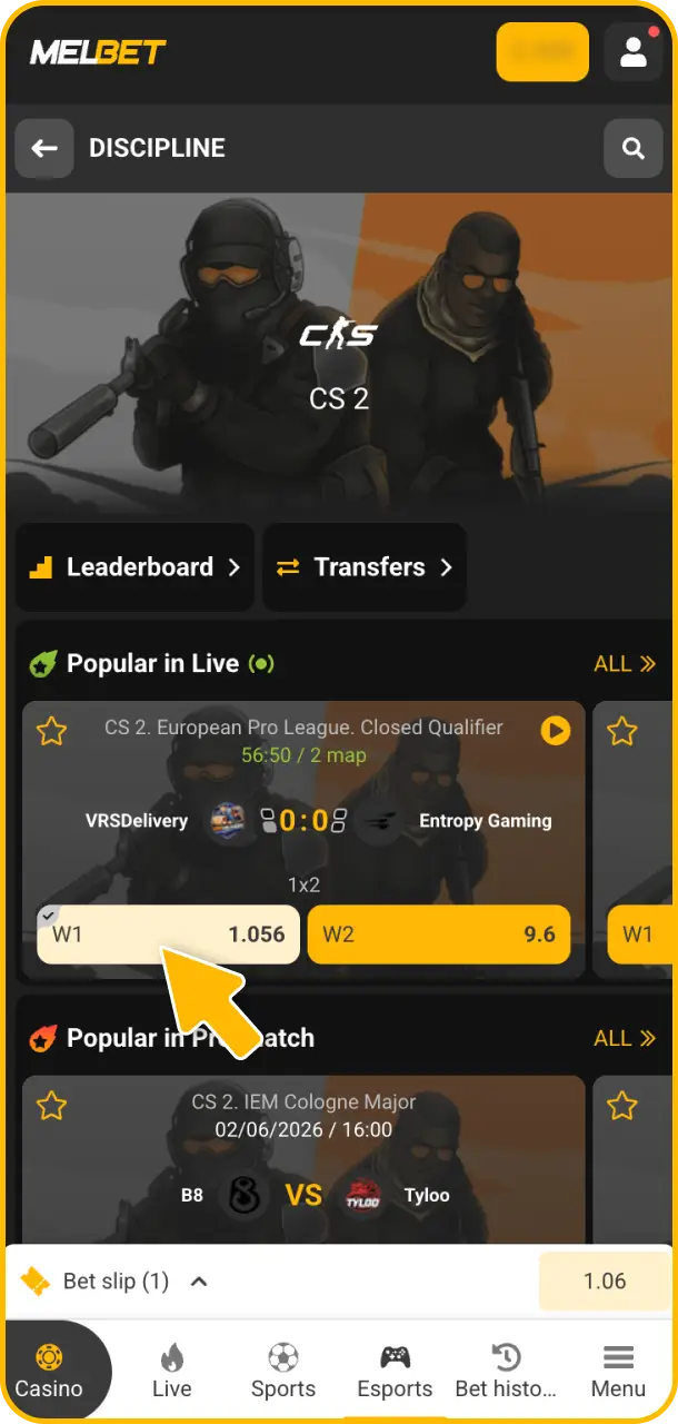 Place your bet on top electronic gaming tournaments on Melbet esports.